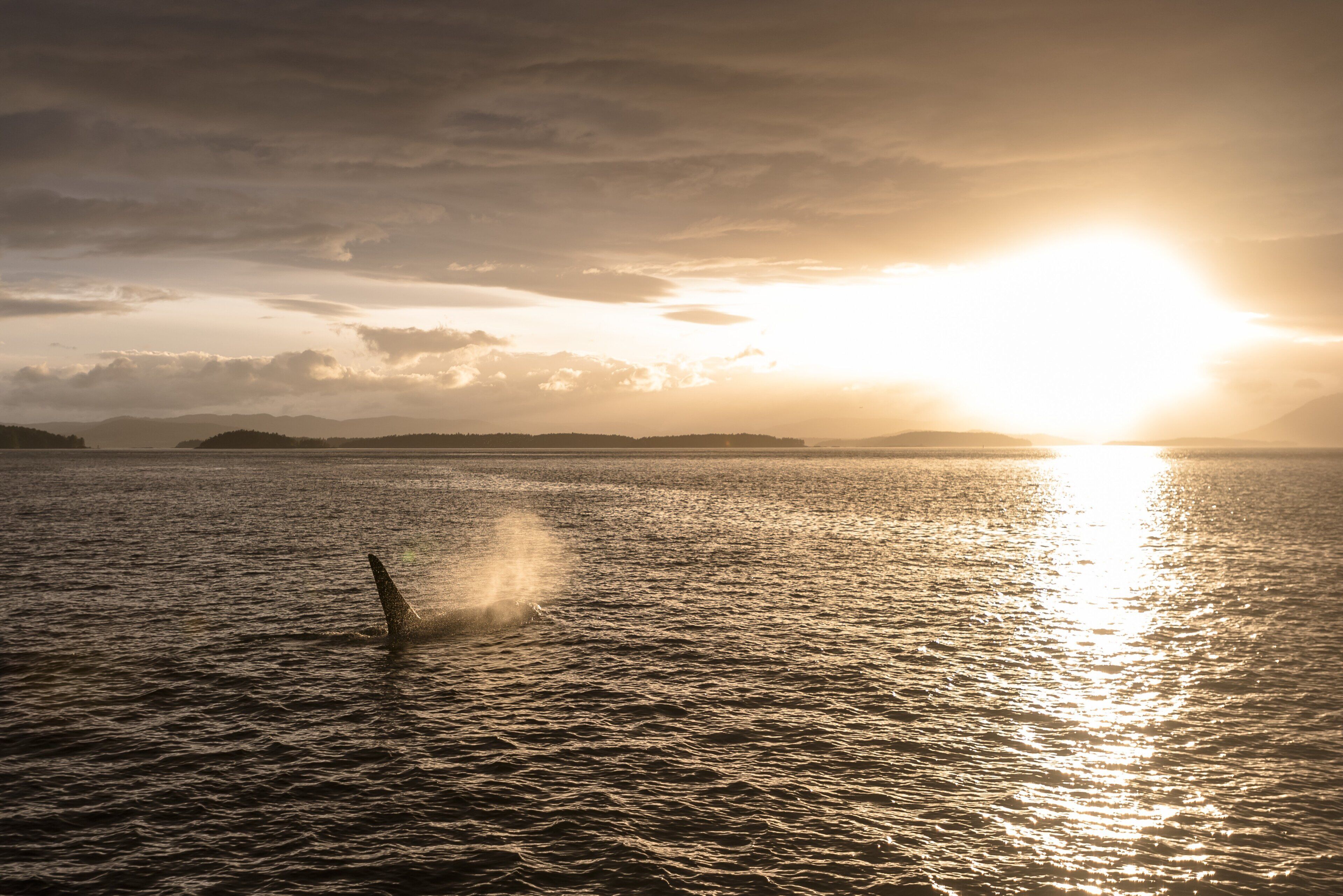 Un coucher de soleil sur une mer calme, avec des reliefs terrestres visibles au loin.