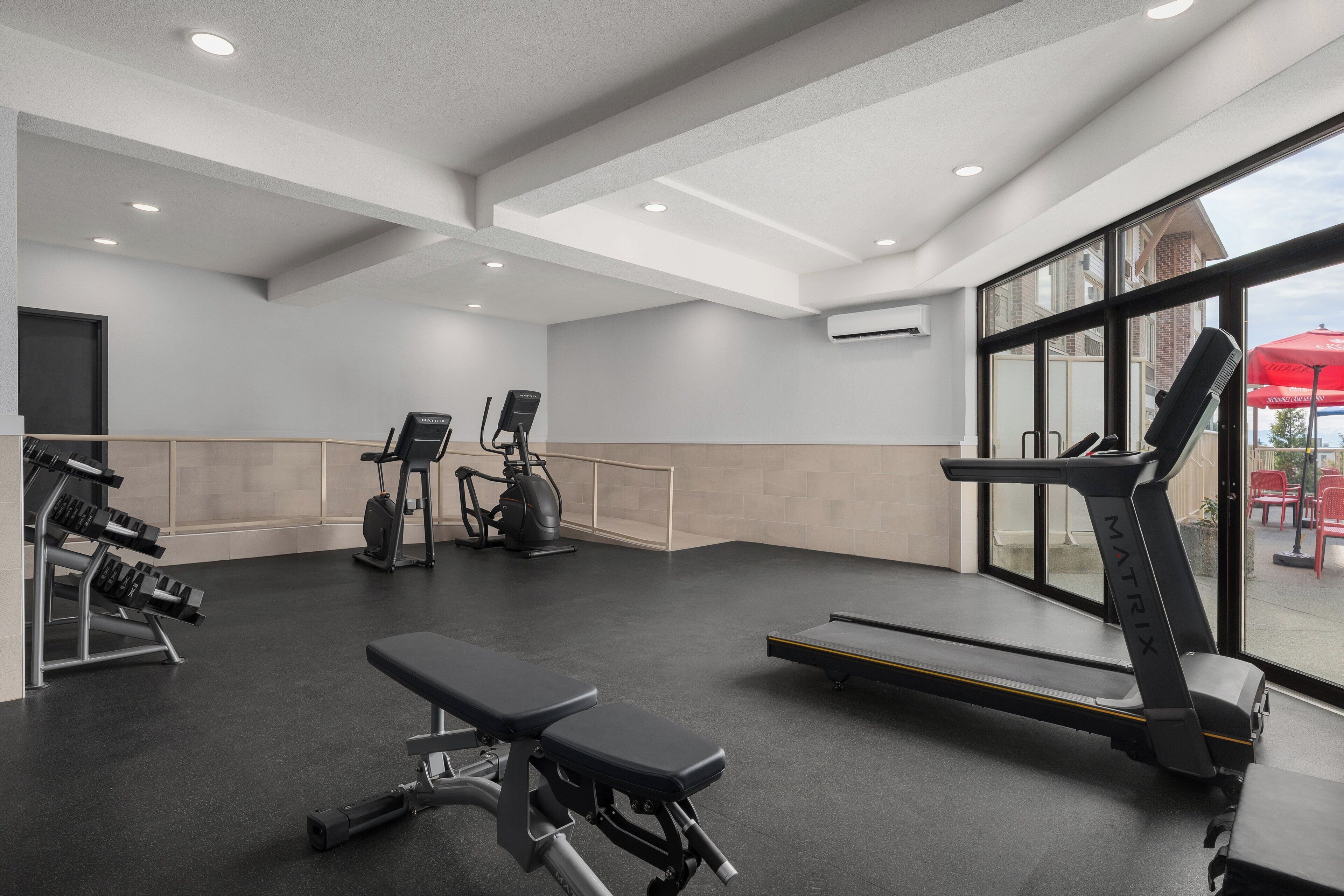 A gym with treadmills, a bench, and weight machines.