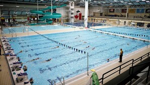 An indoor swimming pool with multiple lanes, a diving platform, and a lifeguard present.