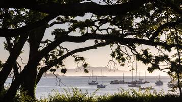 A view of boats on a body of water, framed by tree branches.