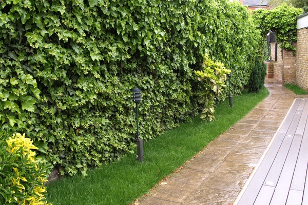 Jardín