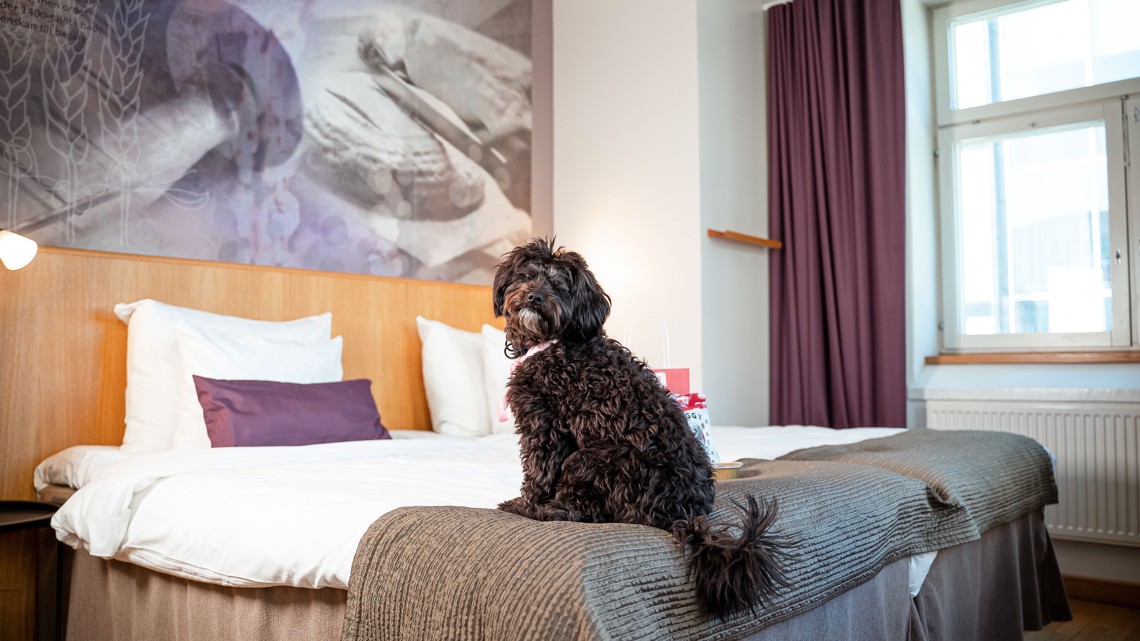 A hotel room with a bed, a headboard, a window with curtains, and a painting on the wall.
