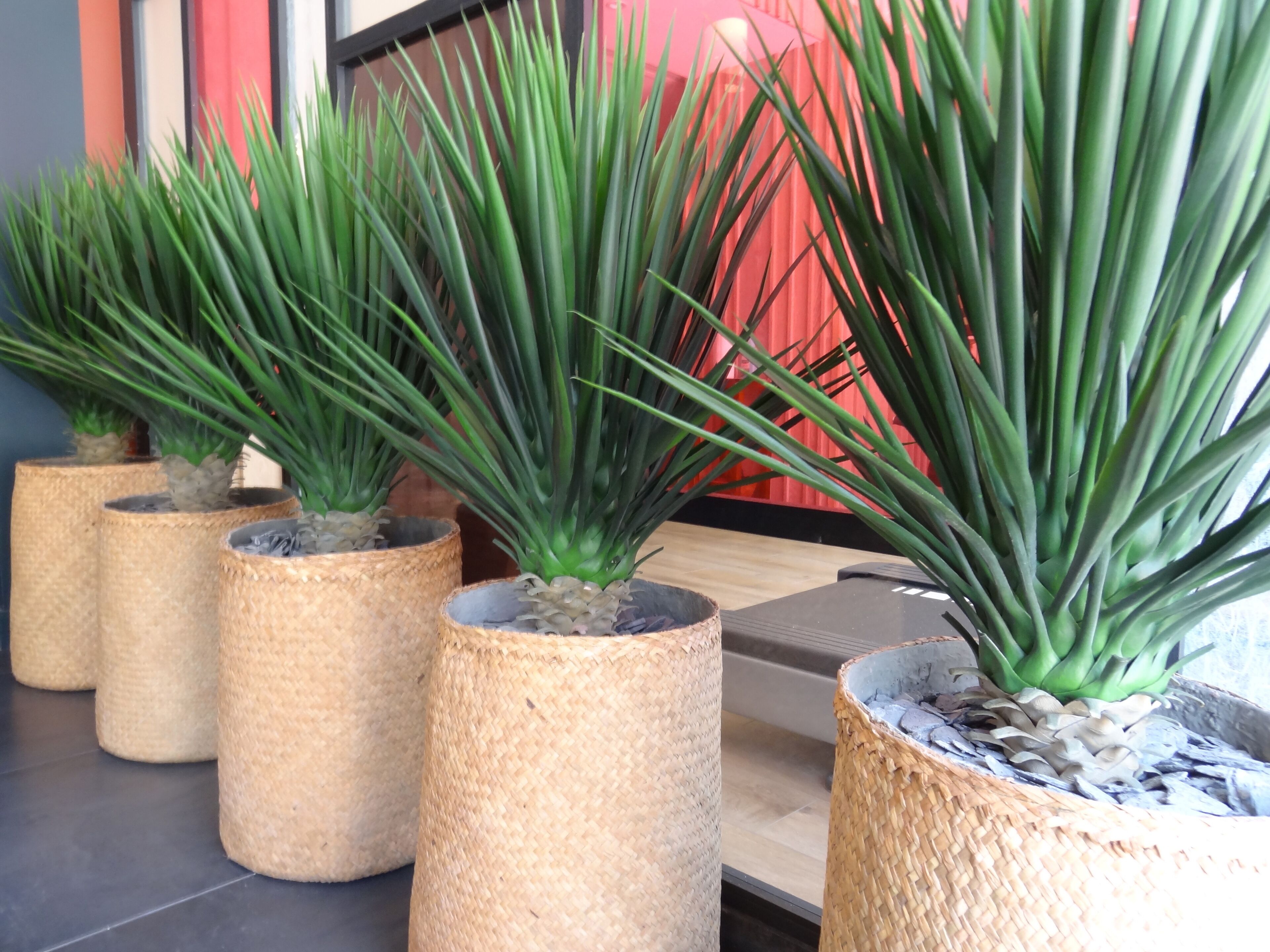 Photo - Hôtel Florida