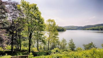 A lakeside view with a wooden bench and dense greenery.