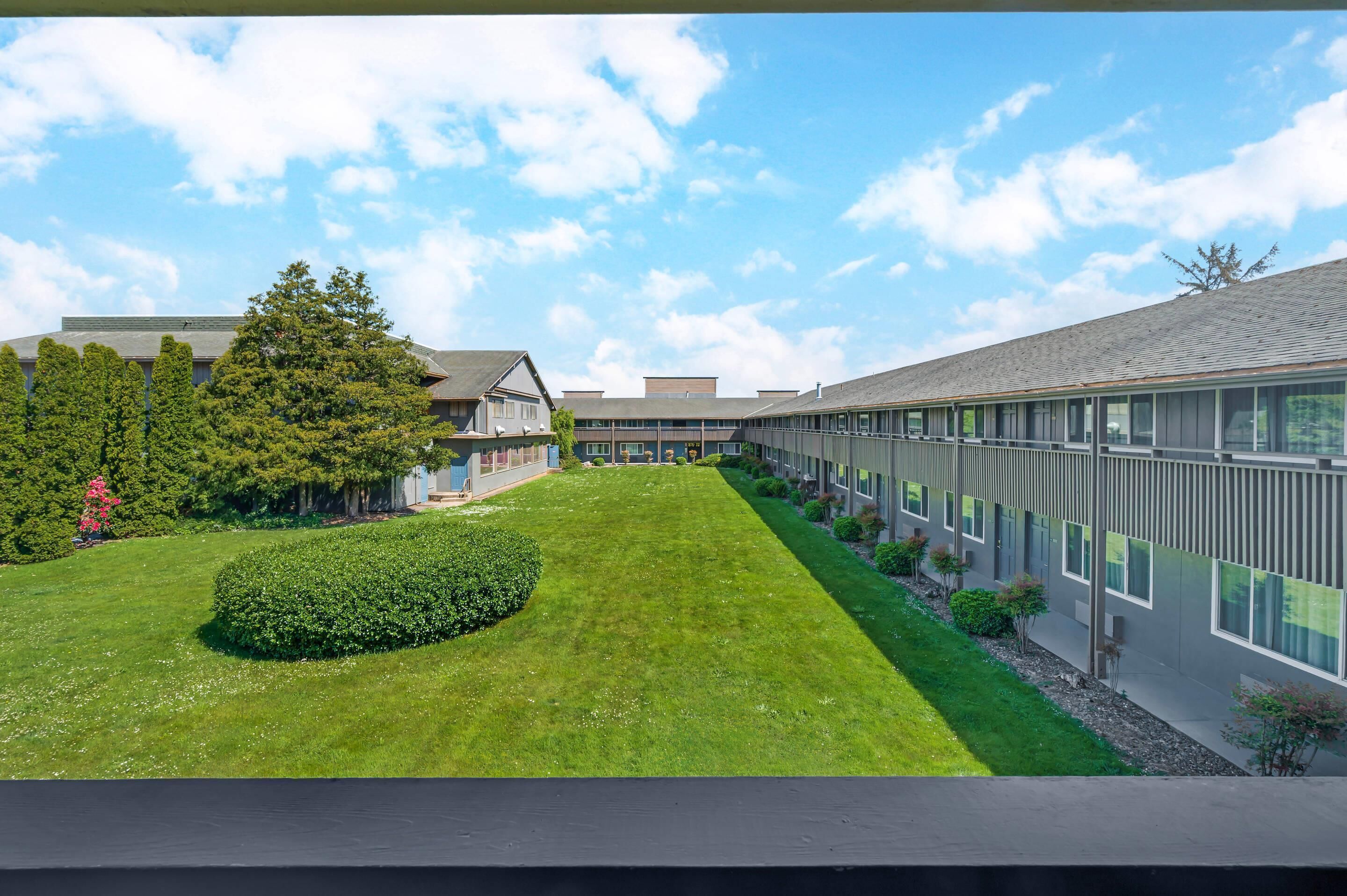 A courtyard with a lawn, a hedge, and a building with large windows.