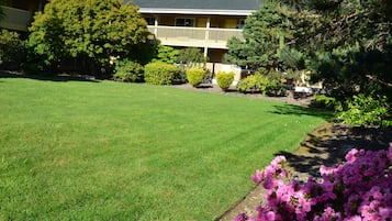 BBQ/picnic area