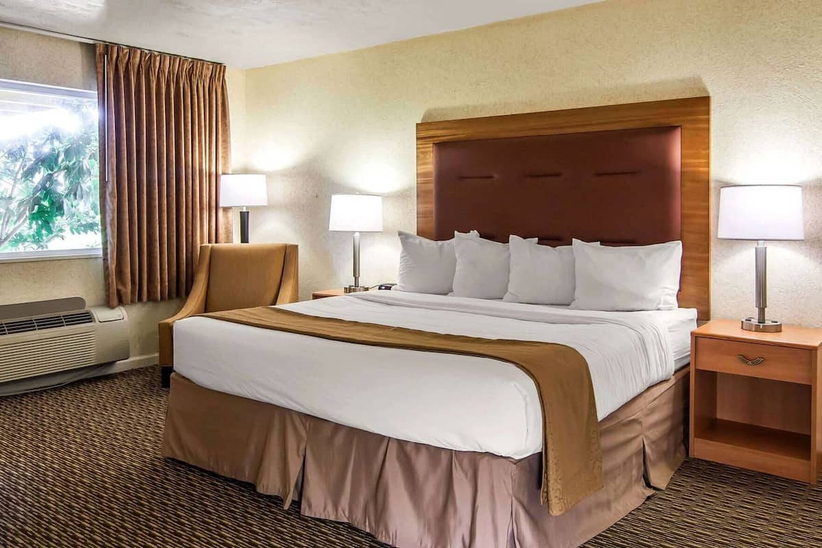 Blackout drapes, iron/ironing board, free WiFi, bed sheets