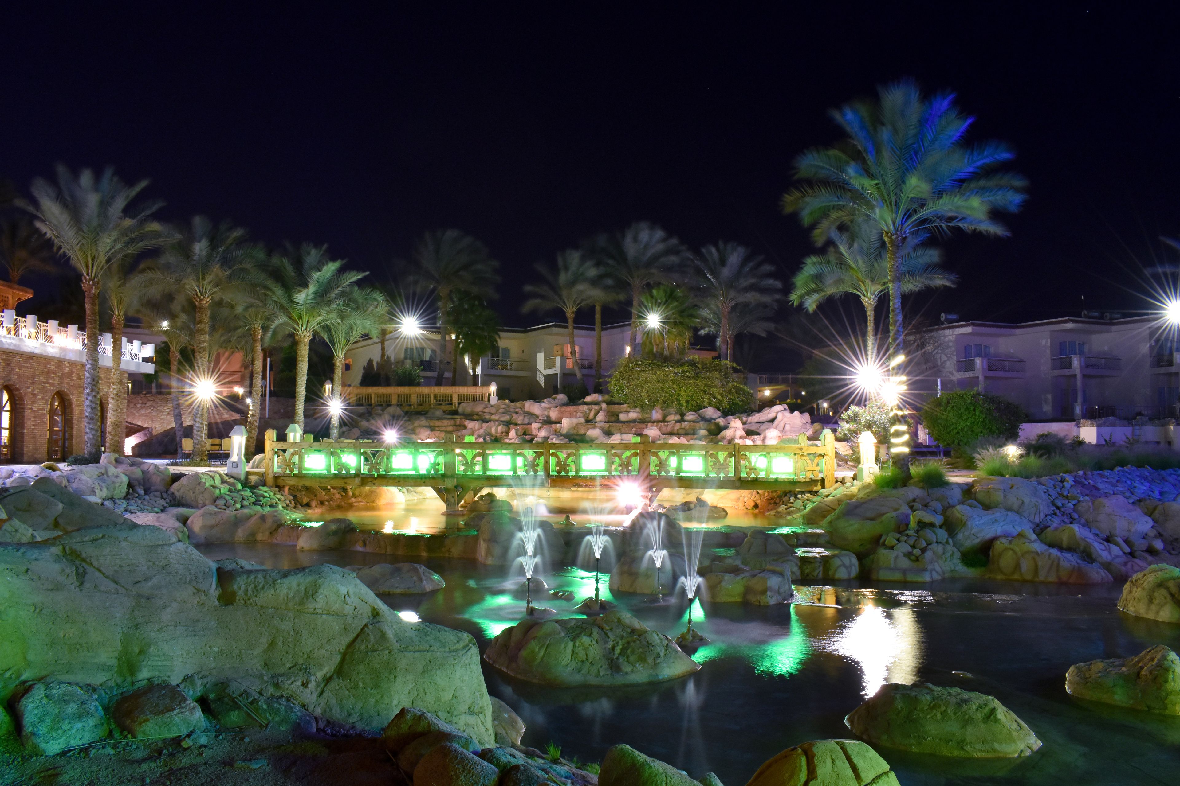 A nighttime view of a water feature with rocks and palm trees, illuminated by ambient lighting.