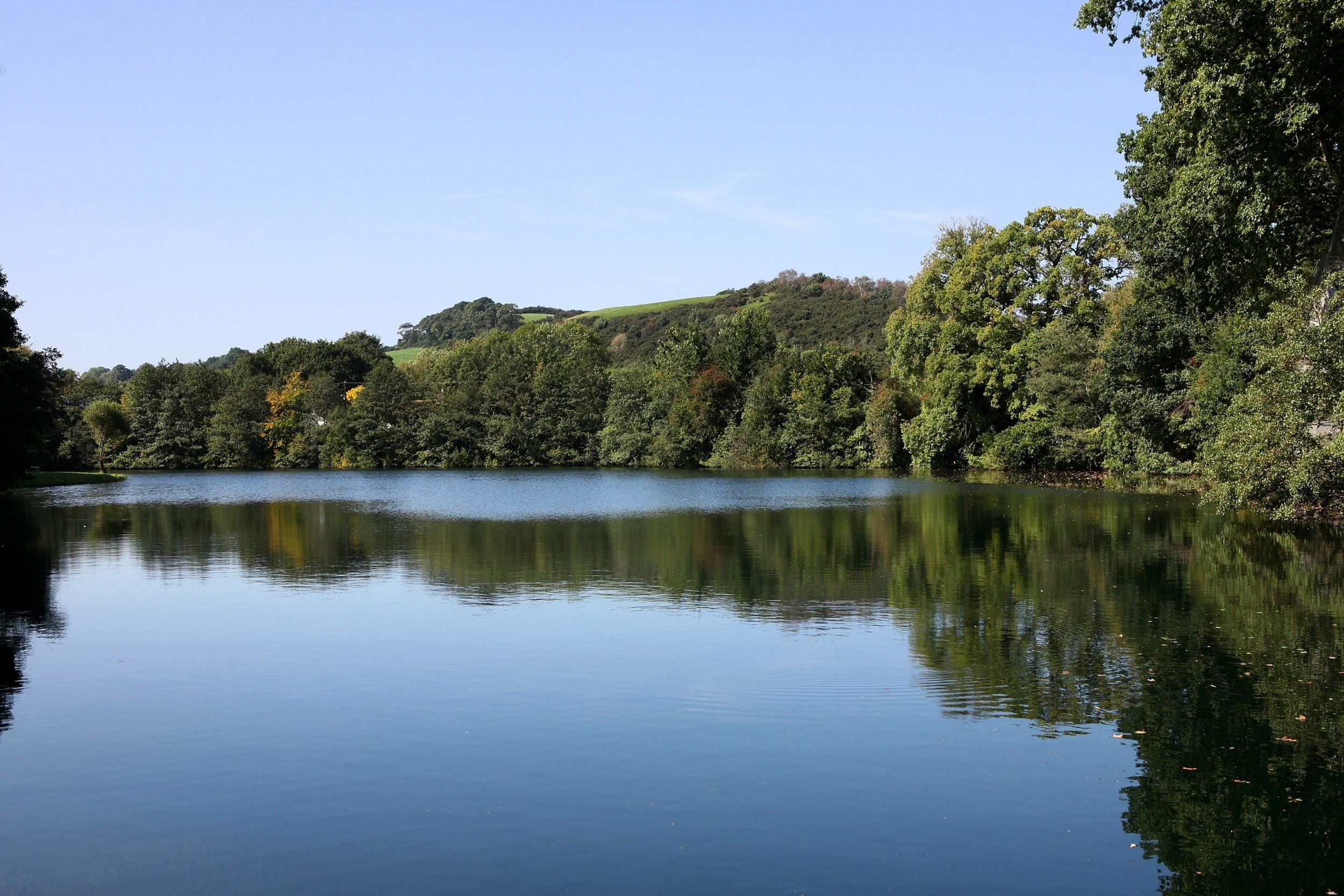 A calm lake surrounded by dense trees and hills.