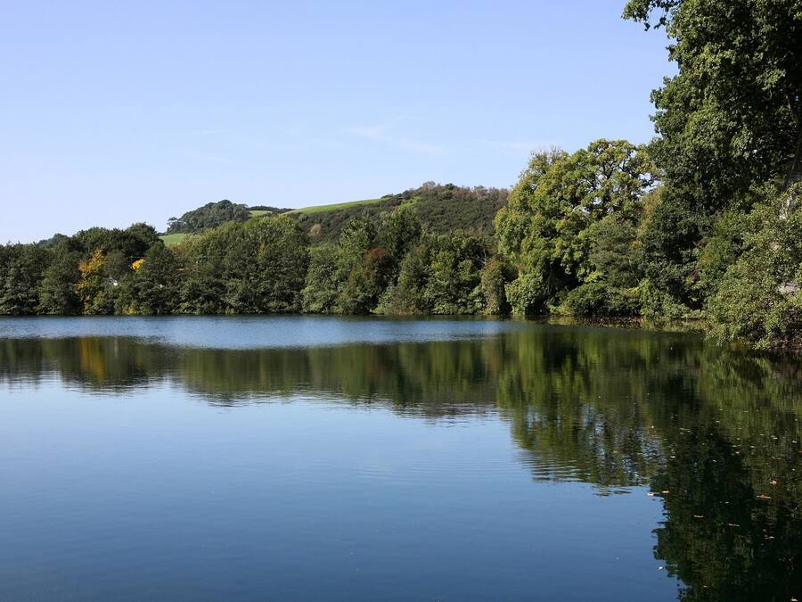A calm lake surrounded by dense trees and hills.