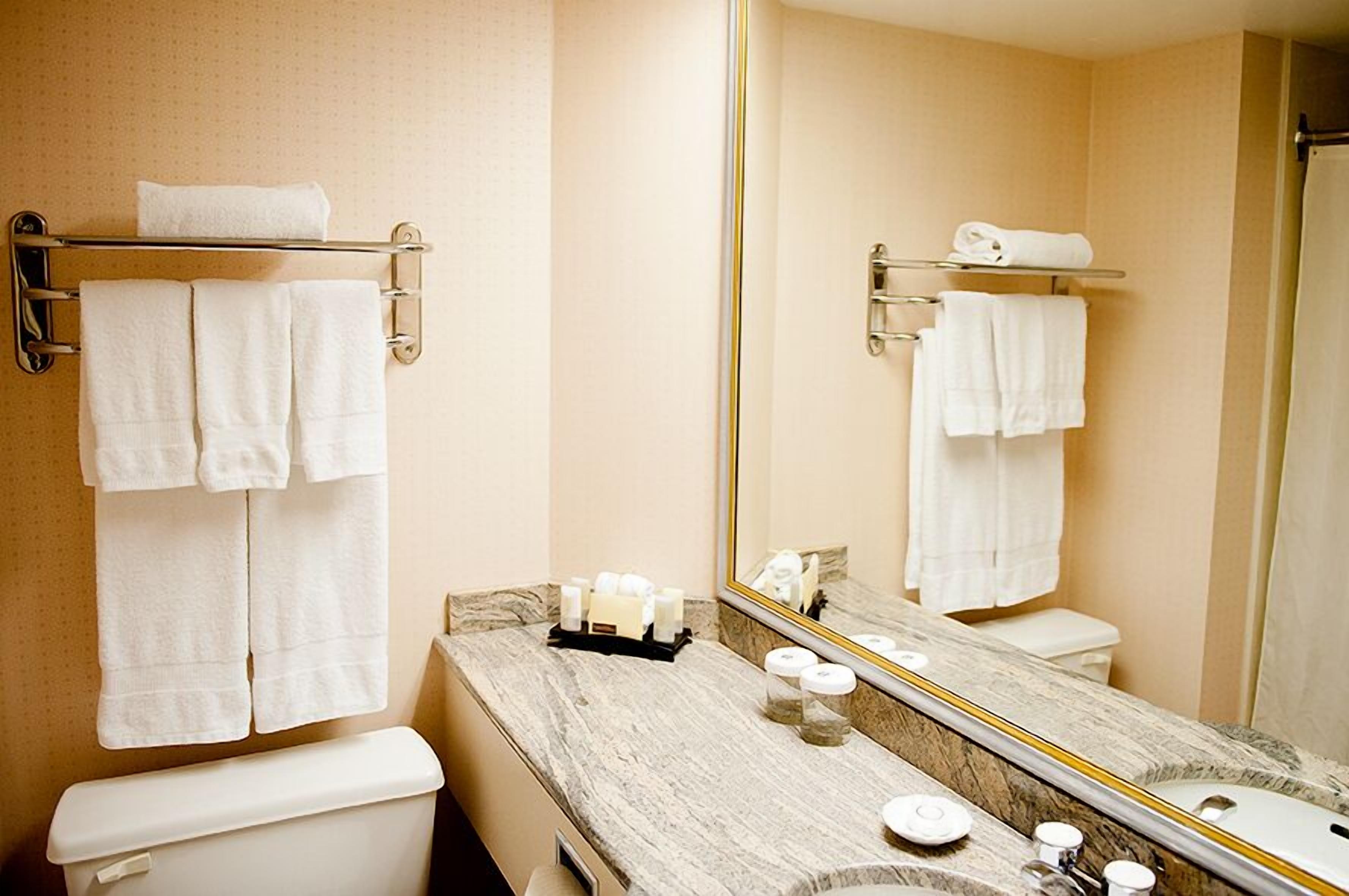 Ein Badezimmer mit Toilette, einem Waschbecken mit Marmorplatte, einem Handtuchhalter mit Handtüchern, einem Spiegel und einem Toilettenpapierhalter.