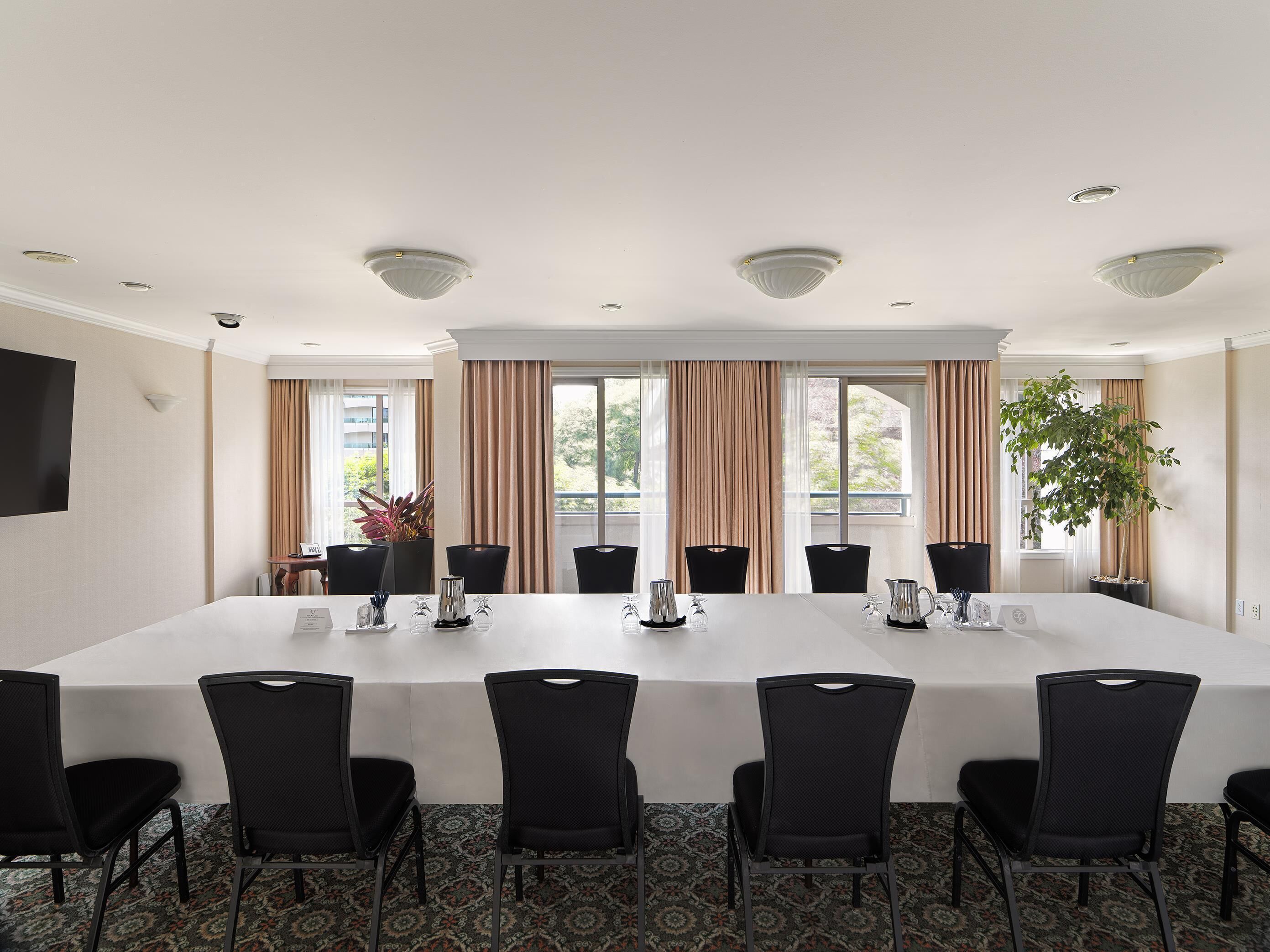 A conference room with a long table, black chairs, and a potted plant.