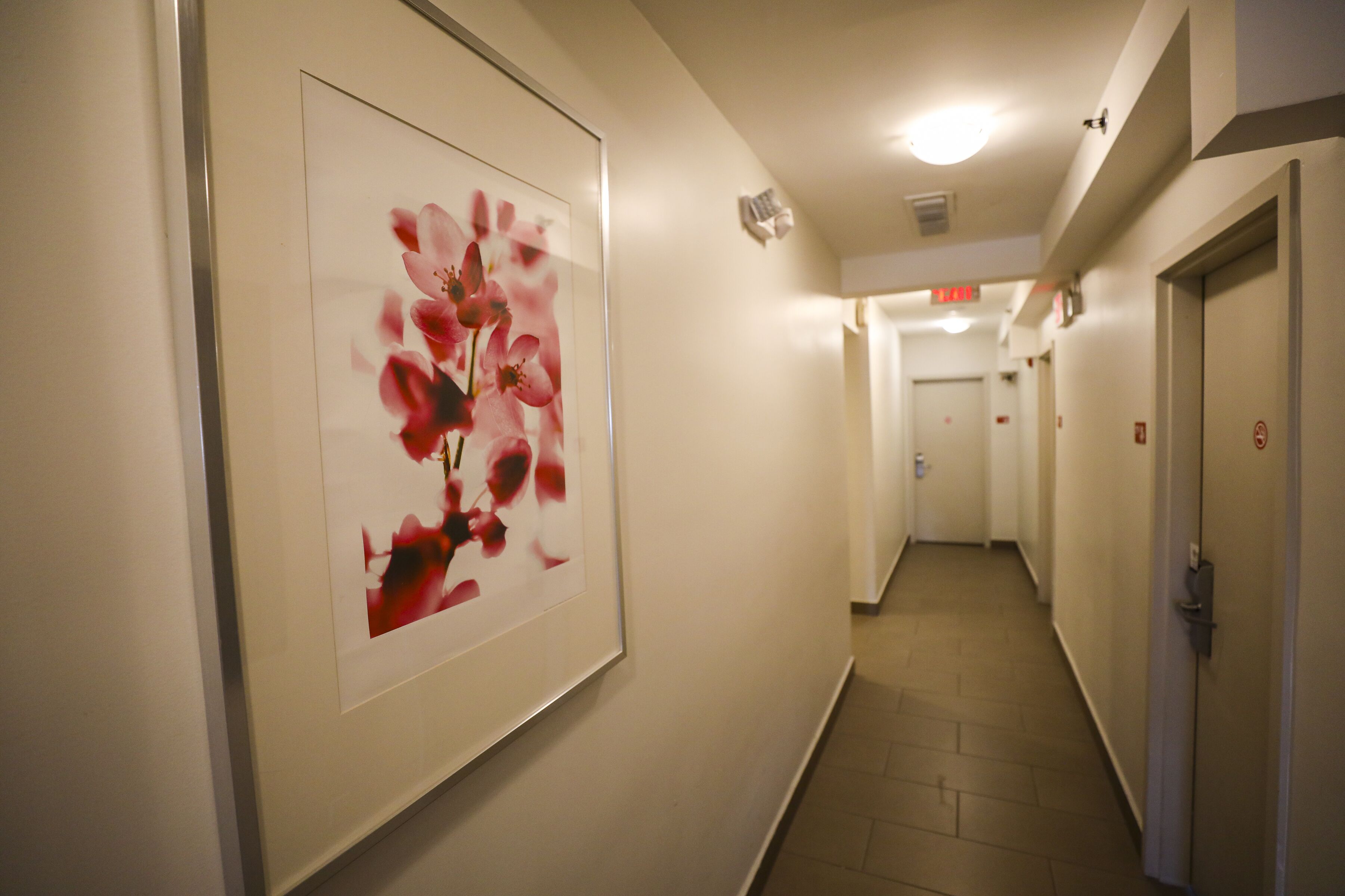 Foto - Collins Hotel