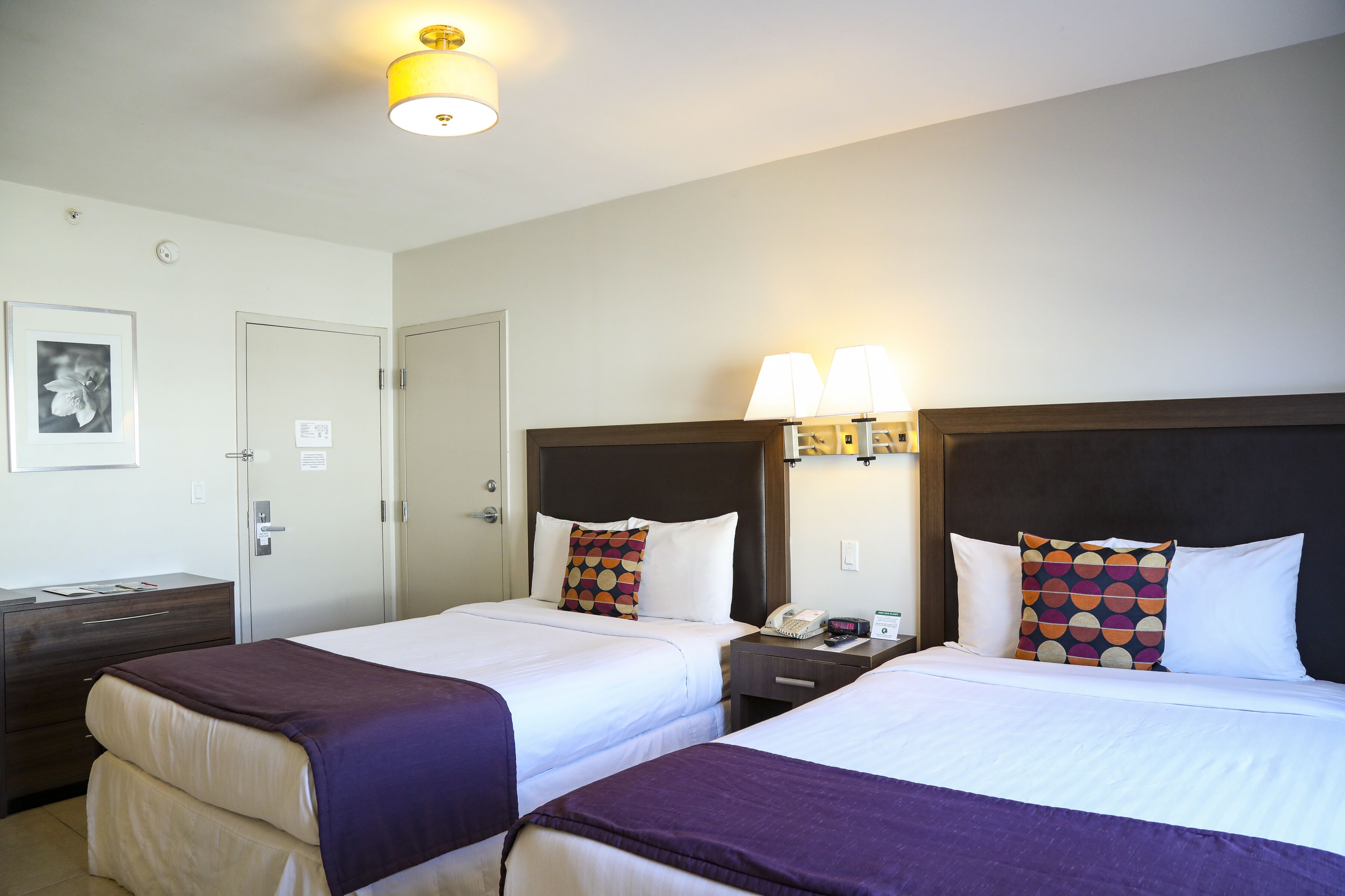 Foto - Collins Hotel