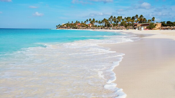 A beach with clear turquoise water, a sandy shore, and a resort area with buildings and palm trees in the background. - Divi Dutch Village Beach Resort (Oranjestad)
