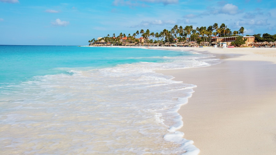 Divi Dutch Village Beach Resort