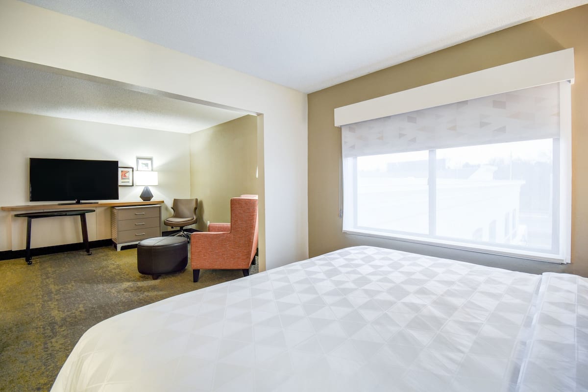 A hotel room with a bed, a desk, a chair, a television, and a window with a view.