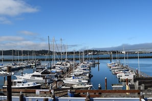 Studio, 1 King Bed, Marina View (Non pet friendly) | Water view