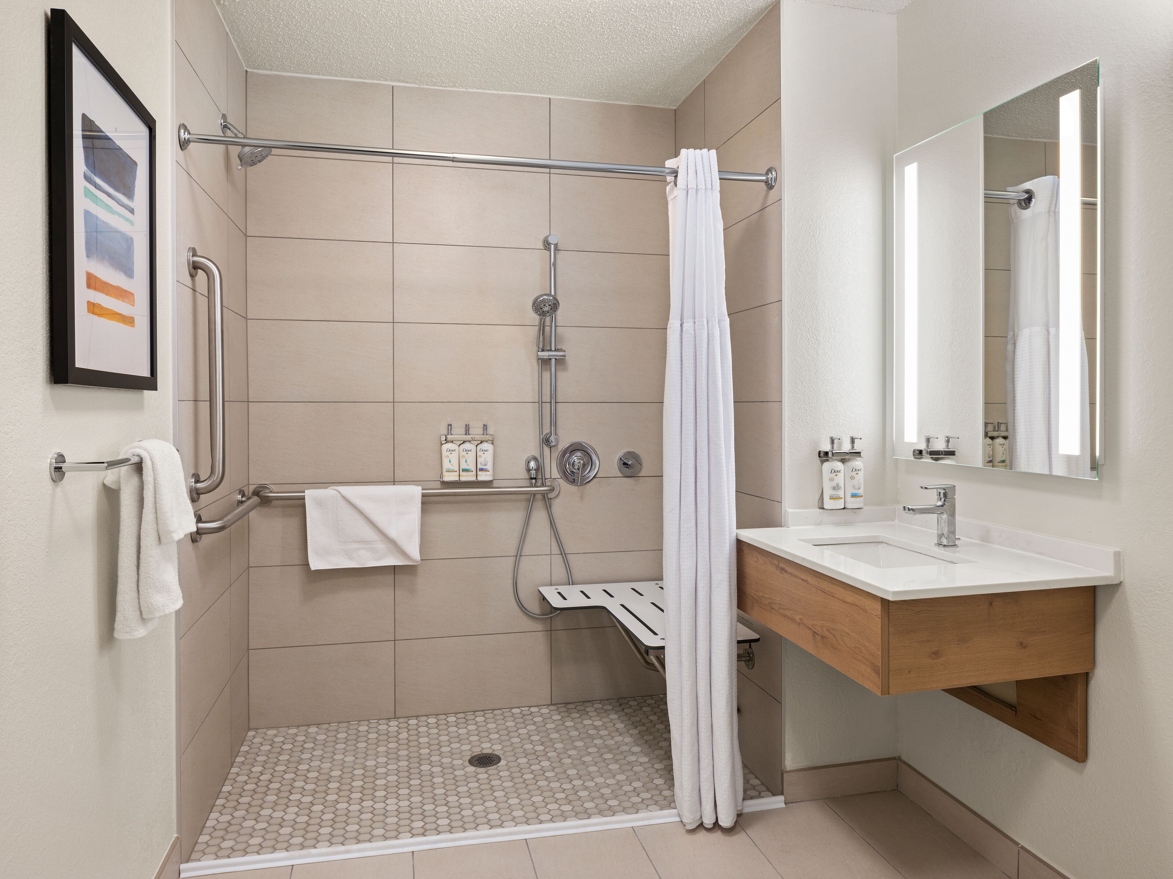 studio suite, 1 queen bed, accessible, kitchen (communication, mobility) | bathroom | free toiletries, hair dryer, towels