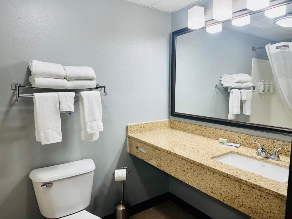 A bathroom with a toilet, sink, and towel rack.