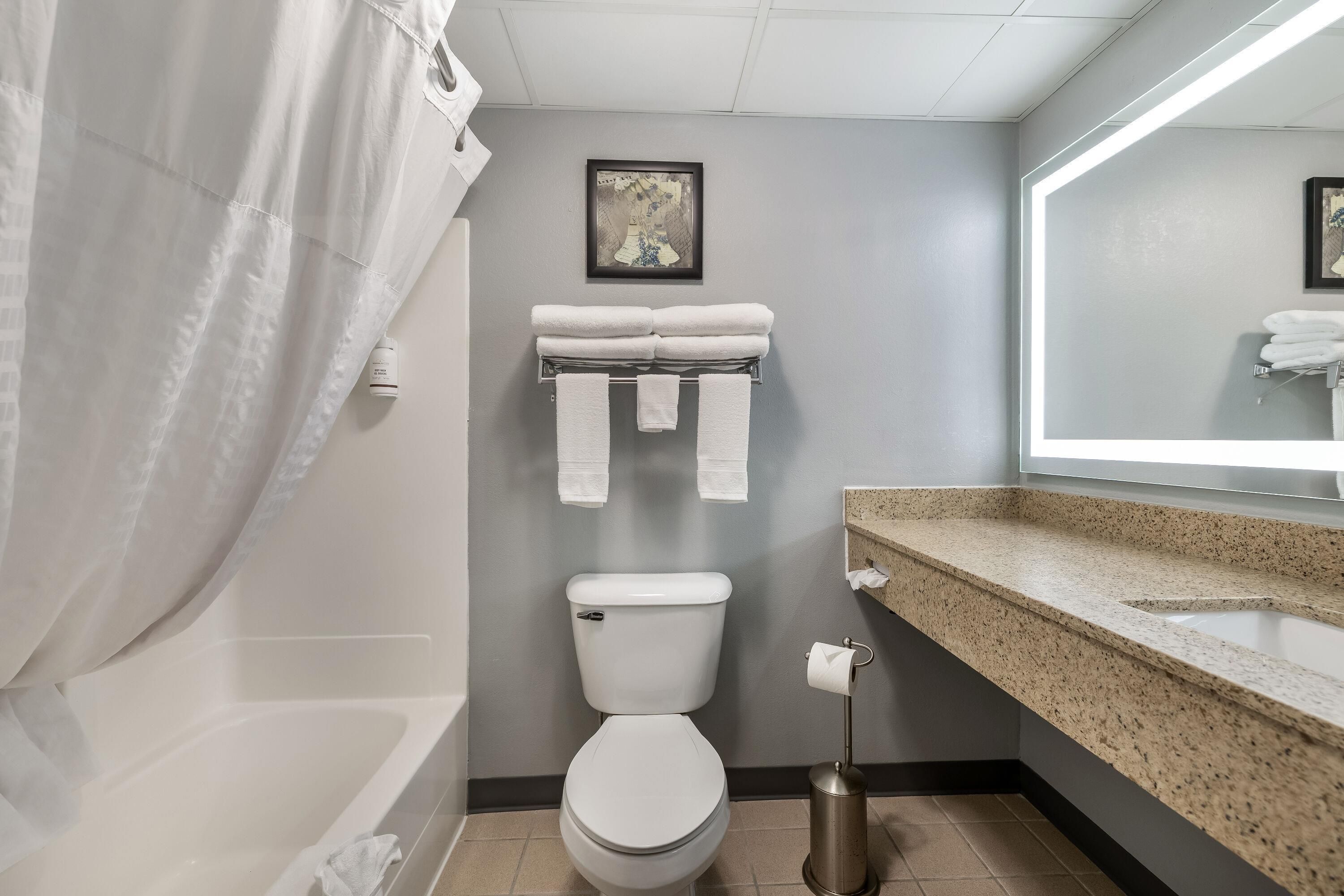 A bathroom with a toilet, a sink with a mirror, and a shower curtain.