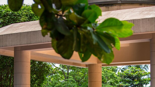 Área de piscina com pérgola, vasos dourados grandes e um banco.
