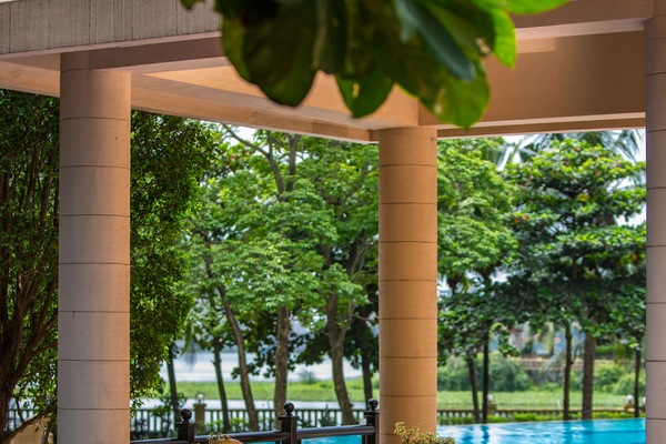 Outdoor pool, pool umbrellas, sun loungers