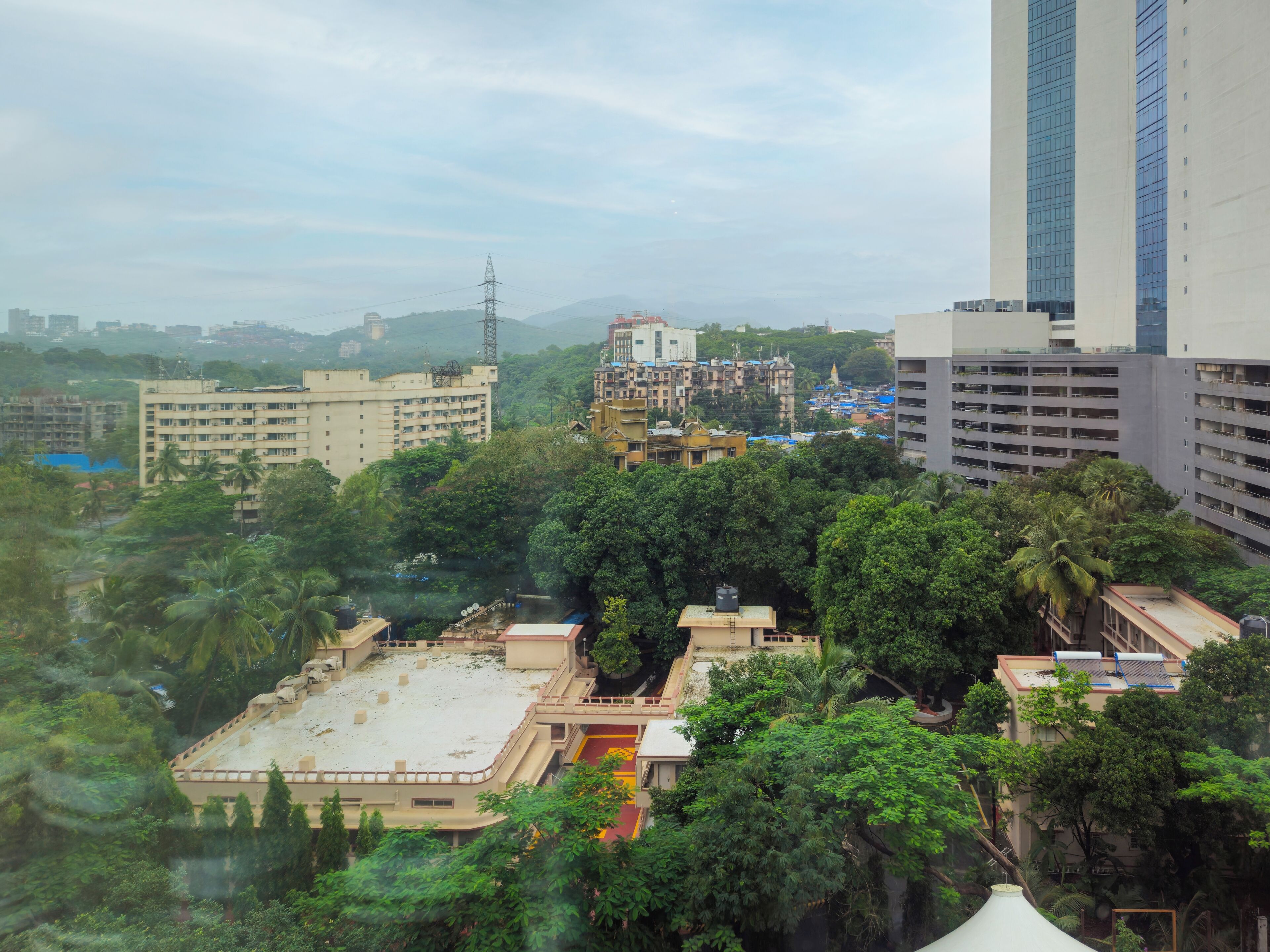 A high-rise building with a view of a densely vegetated area below.