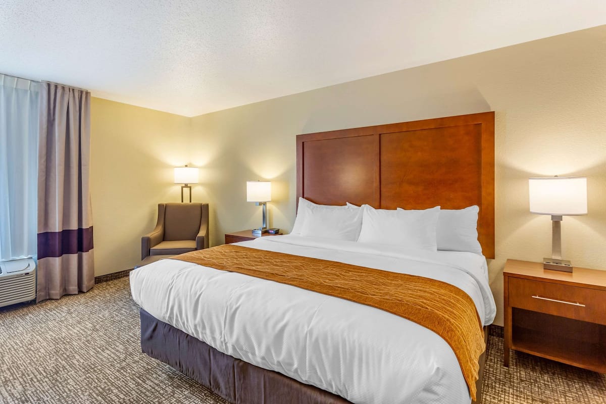 Room, 1 King Bed, Non Smoking | 1 bedroom, desk, laptop workspace, blackout drapes