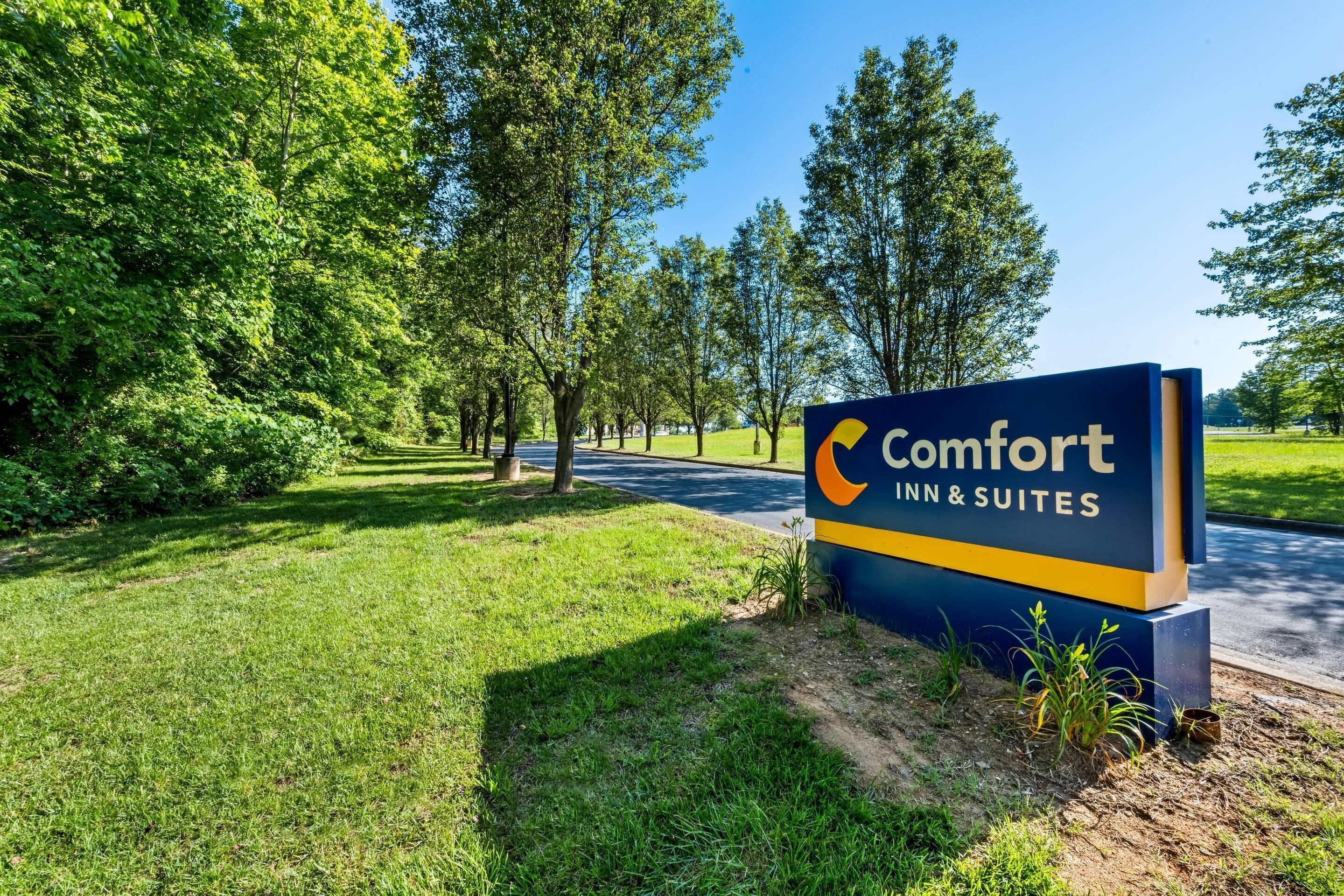 Segnaletica per Comfort Inn & Suites, con vista chiara sul verde circostante e una strada asfaltata.