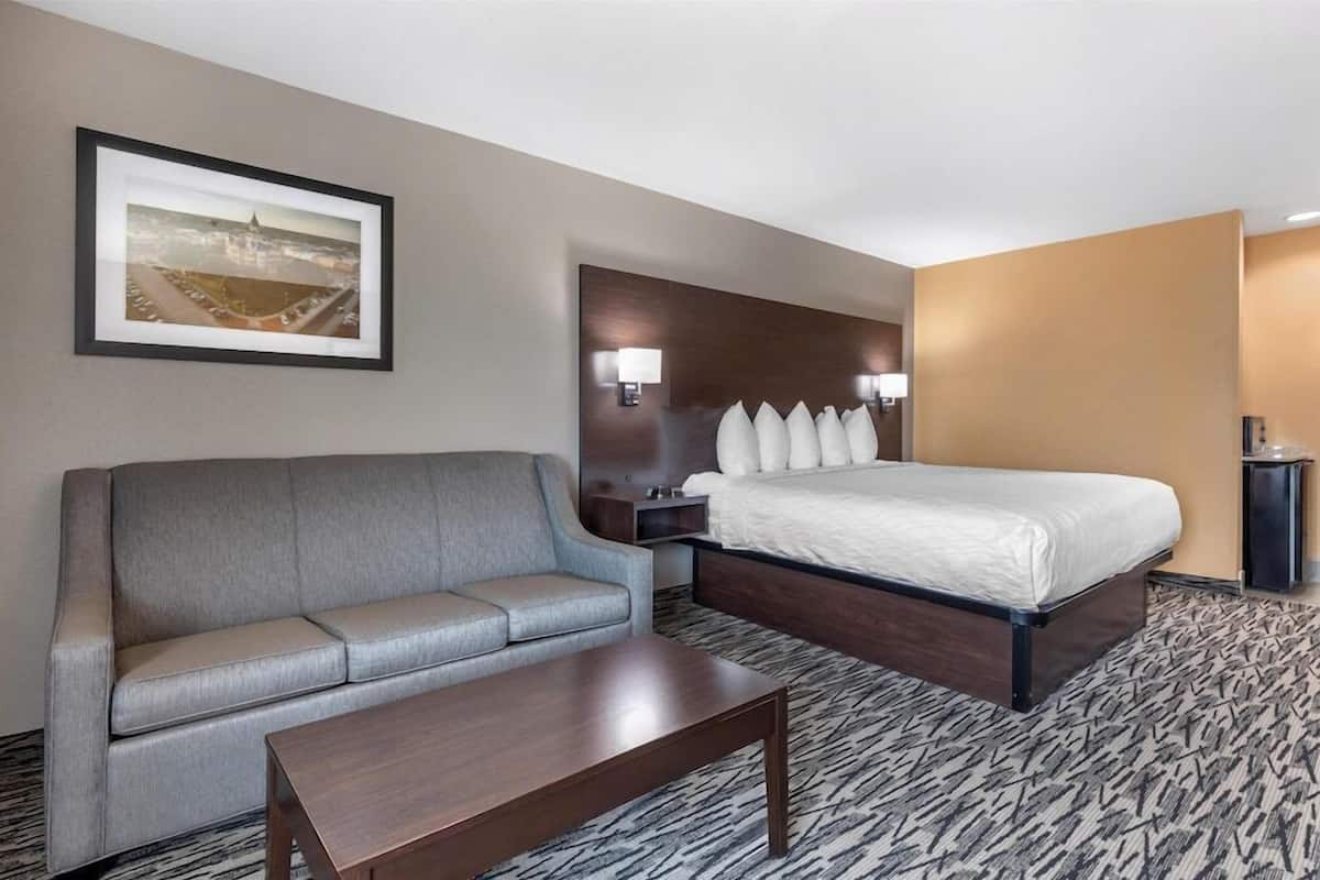 A hotel room with a bed, a sofa, a nightstand, a lamp, and a framed picture on the wall.