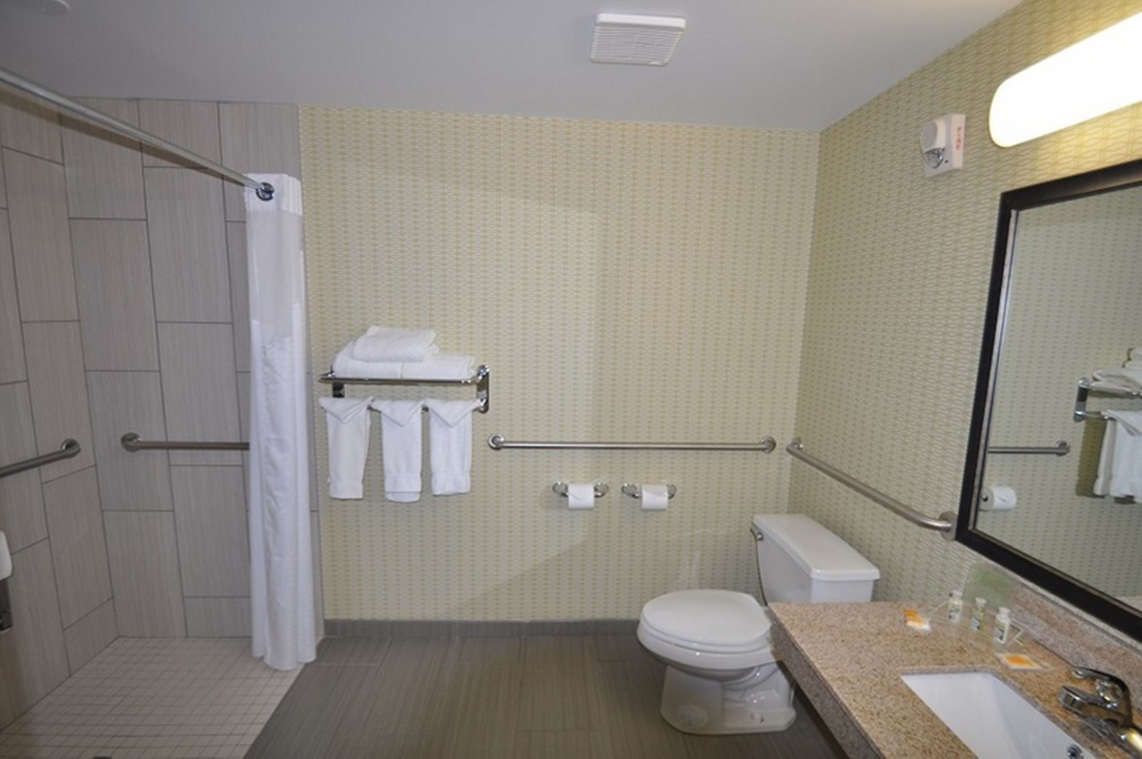 A bathroom with a shower, toilet, and sink. There are handrails, a towel rack, and a mirror.
