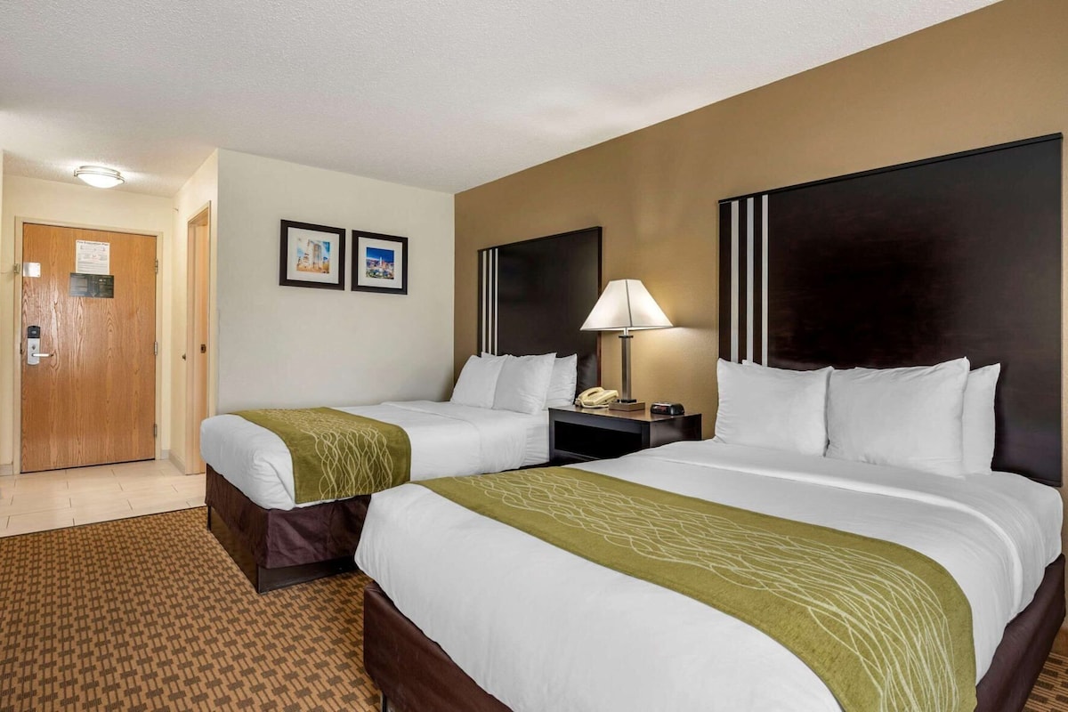 A hotel room with two beds, a nightstand with a lamp, a telephone, and framed pictures on the wall.