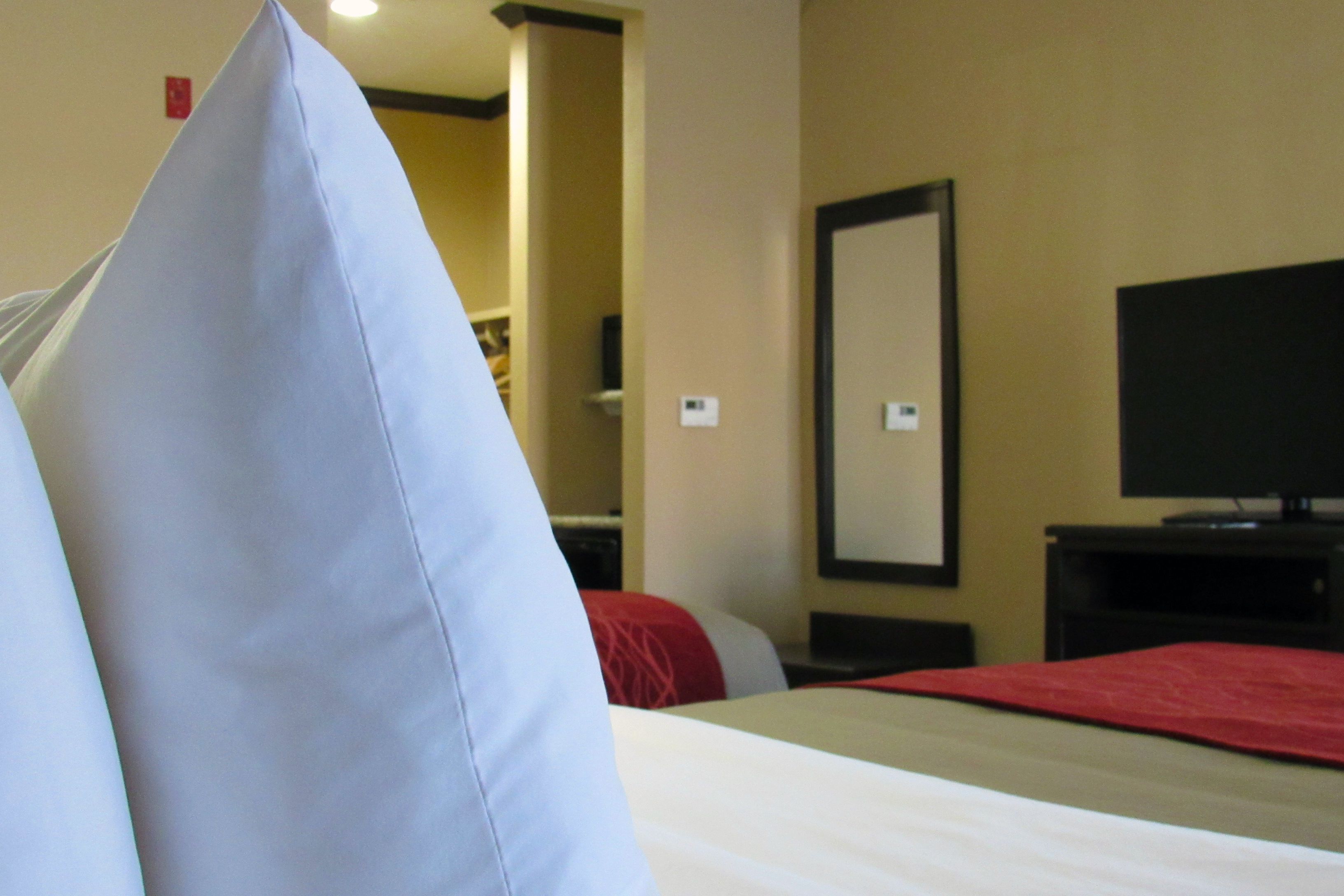 Combined shower/tub, free toiletries, hair dryer, towels