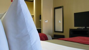 A hotel room with a bed, a television, and a mirror. - Quality Inn & Suites Lubbock South (Lubbock)