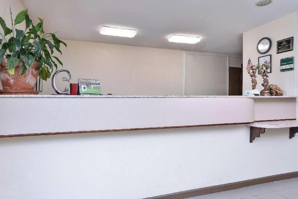 A reception desk with a potted plant, a clock, and a framed certificate on the wall.
