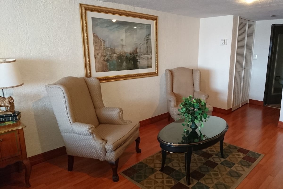 Suite junior, 1 cama de matrimonio grande | Tabla de planchar con plancha y wifi gratis