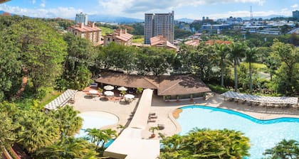 Barceló San José