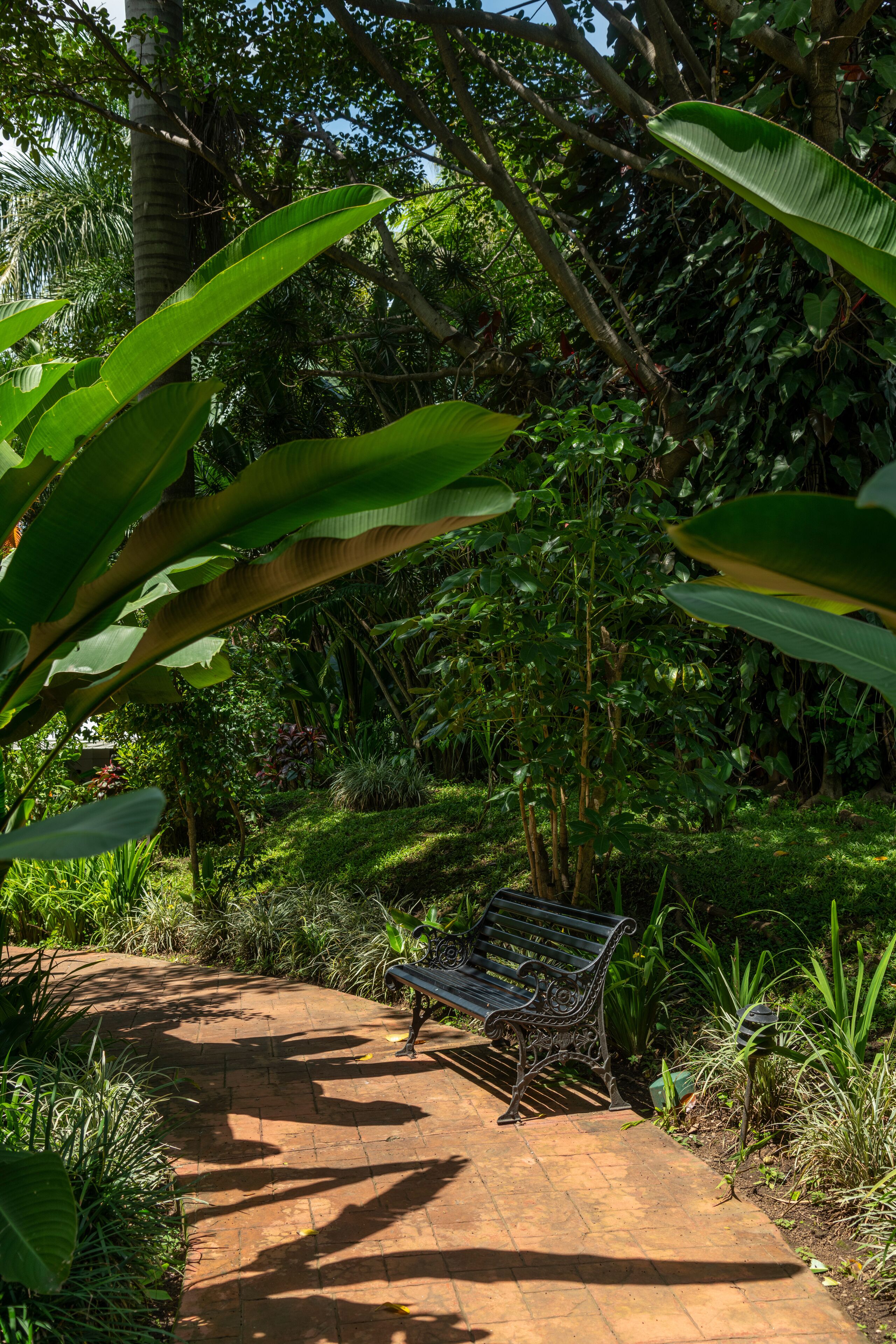 A bench in a lush garden with a brick pathway.