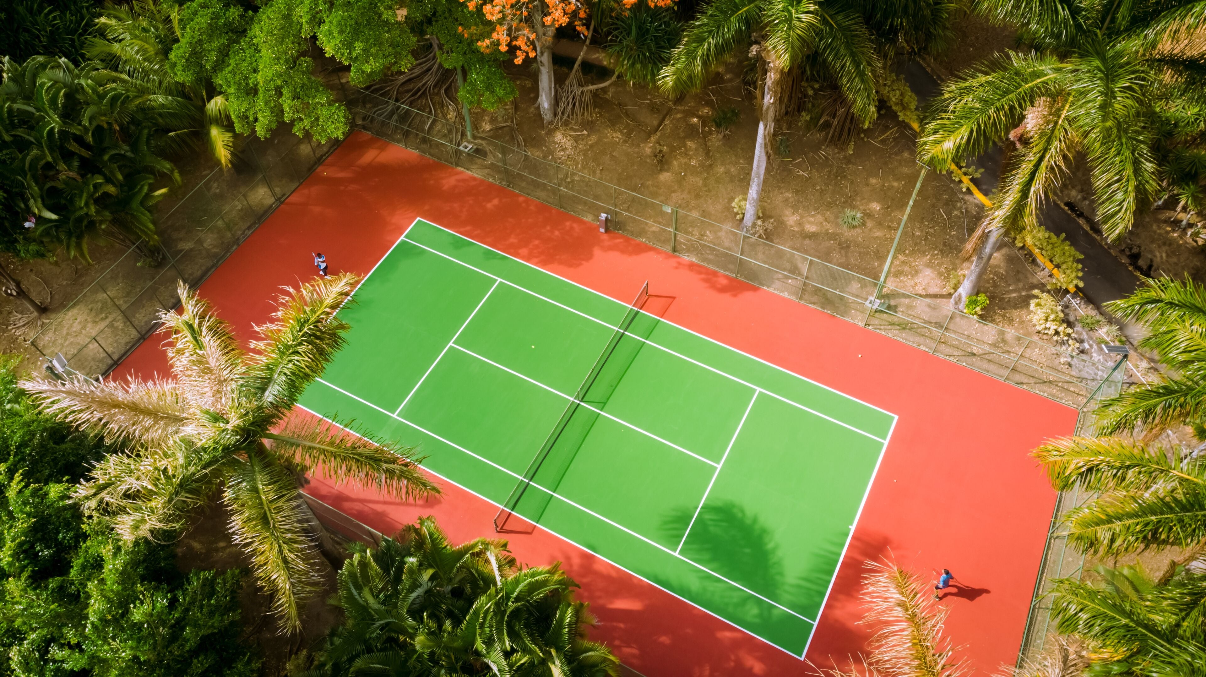 Vista aérea de una cancha de tenis rodeada de palmeras.