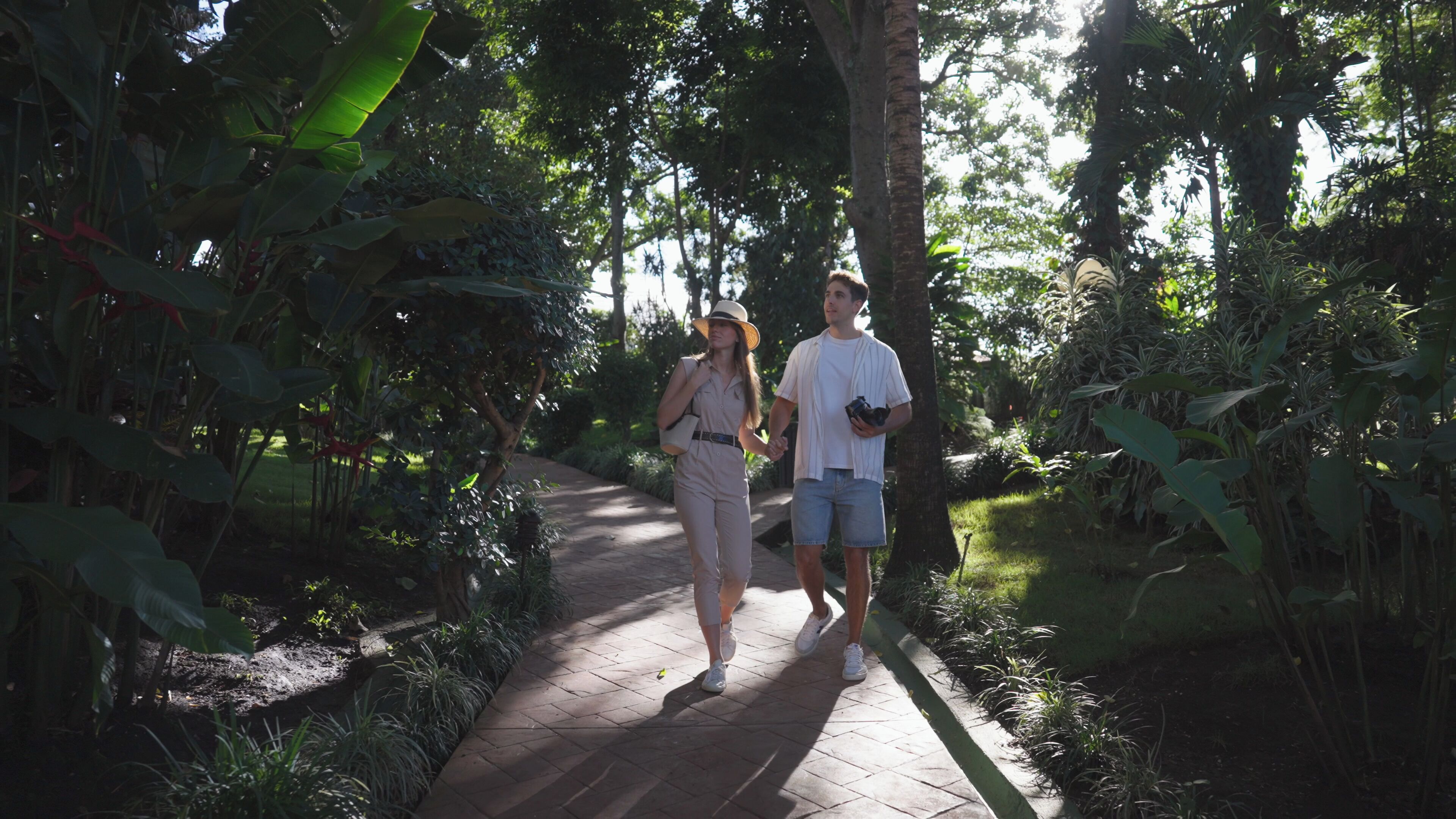 Photo - Barceló San José