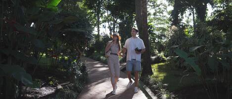 A pathway through a garden with dense foliage on either side.