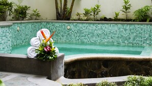Una piscina con borde de azulejos y un borde de piedra.