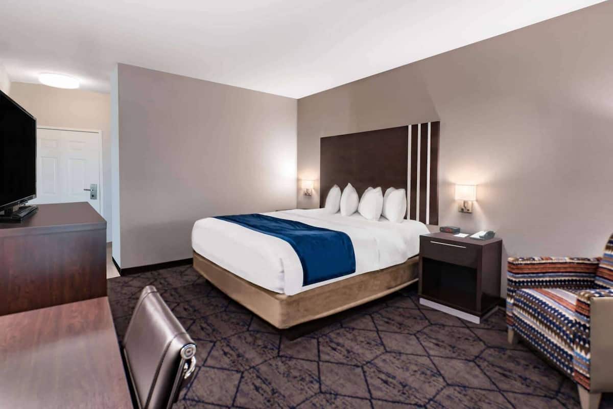 Een hotelkamer met een bed, een bureau, een stoel, een televisie en een kamerbreed tapijt met dessin.