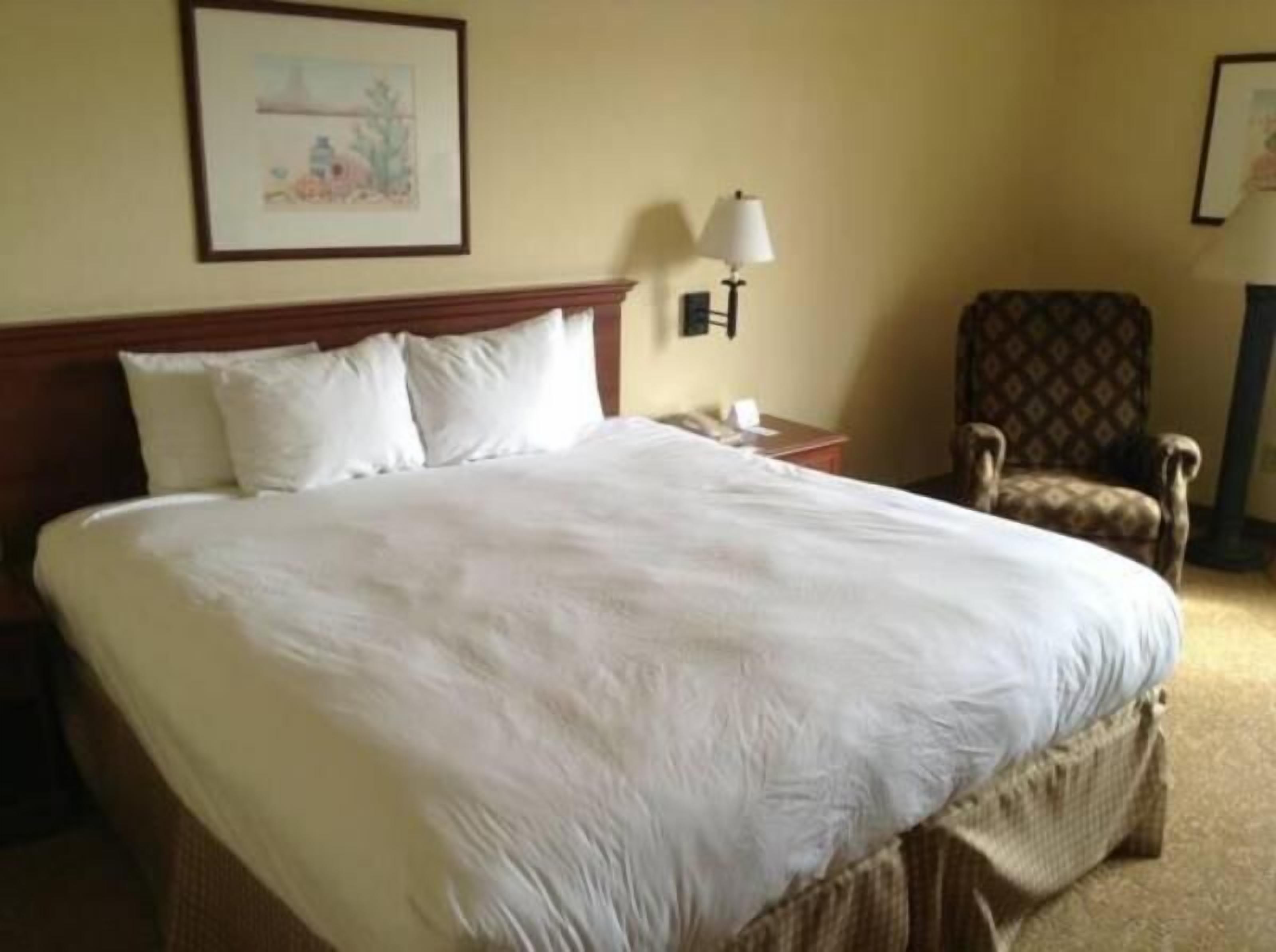 Surmatelas, bureau, rideaux occultants, fer et planche à repasser