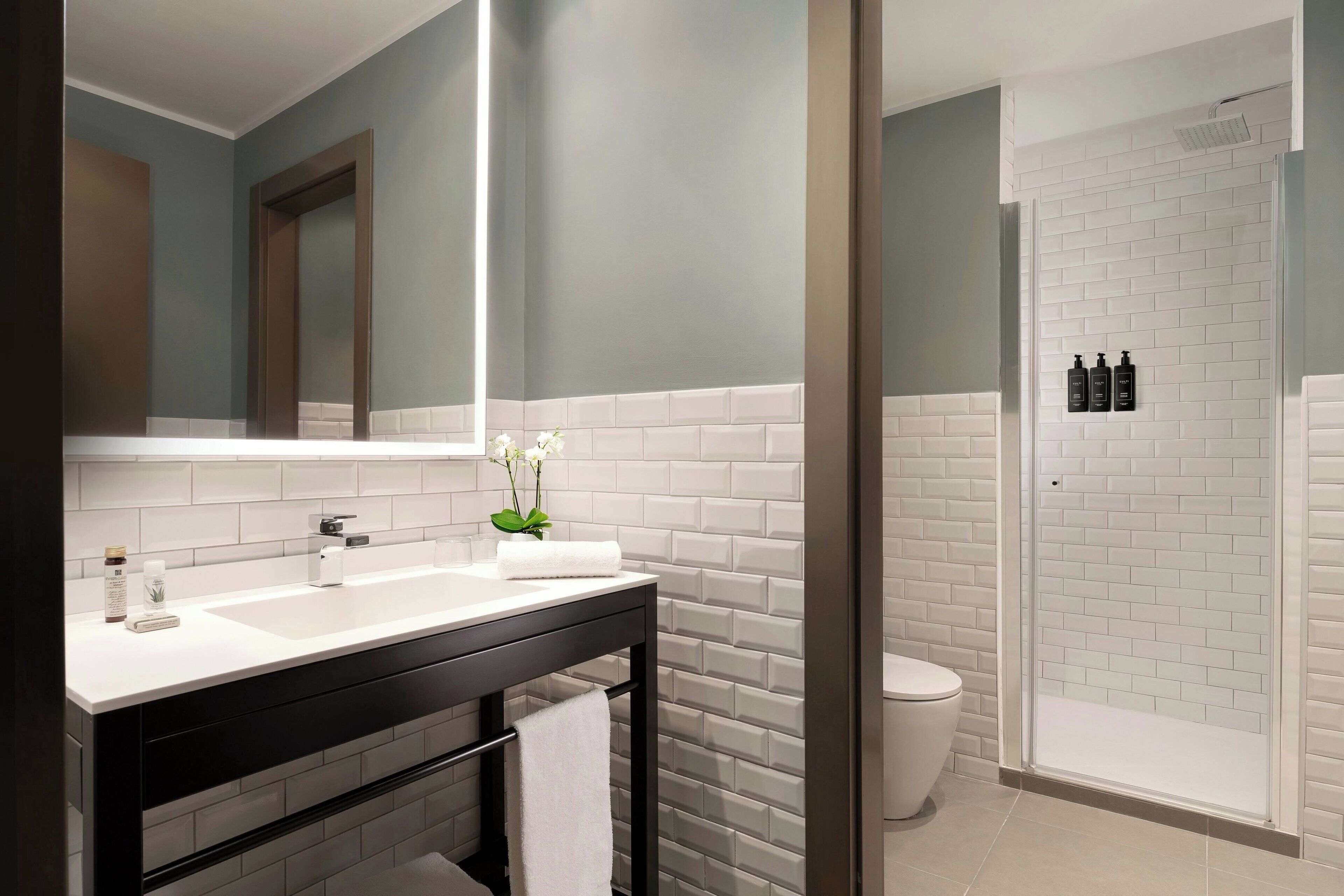 rainfall showerhead, hair dryer, bidet, towels