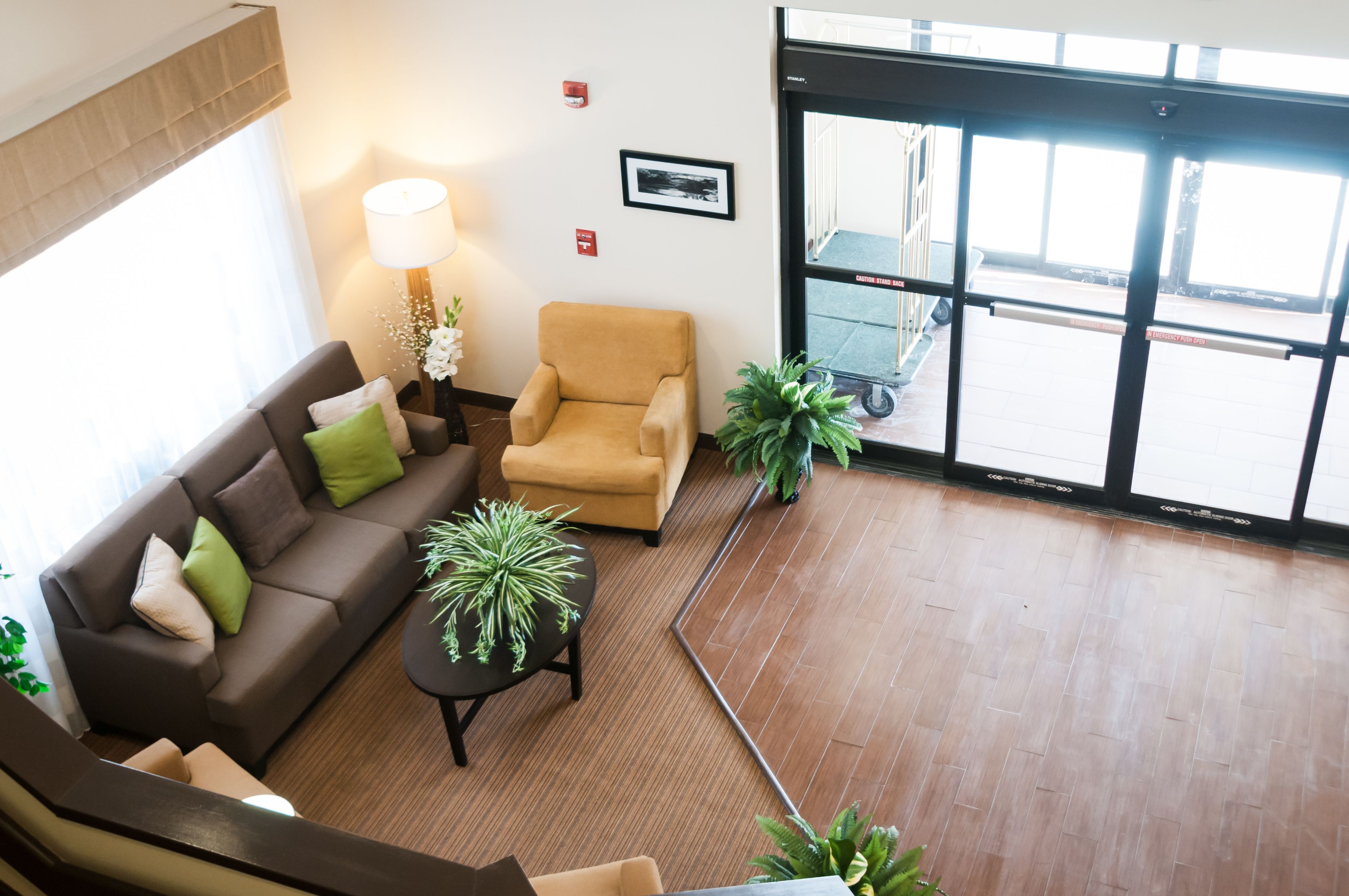 Een moderne lobby met een bruine bank, een beige fauteuil en een kleine tafel met een plant.