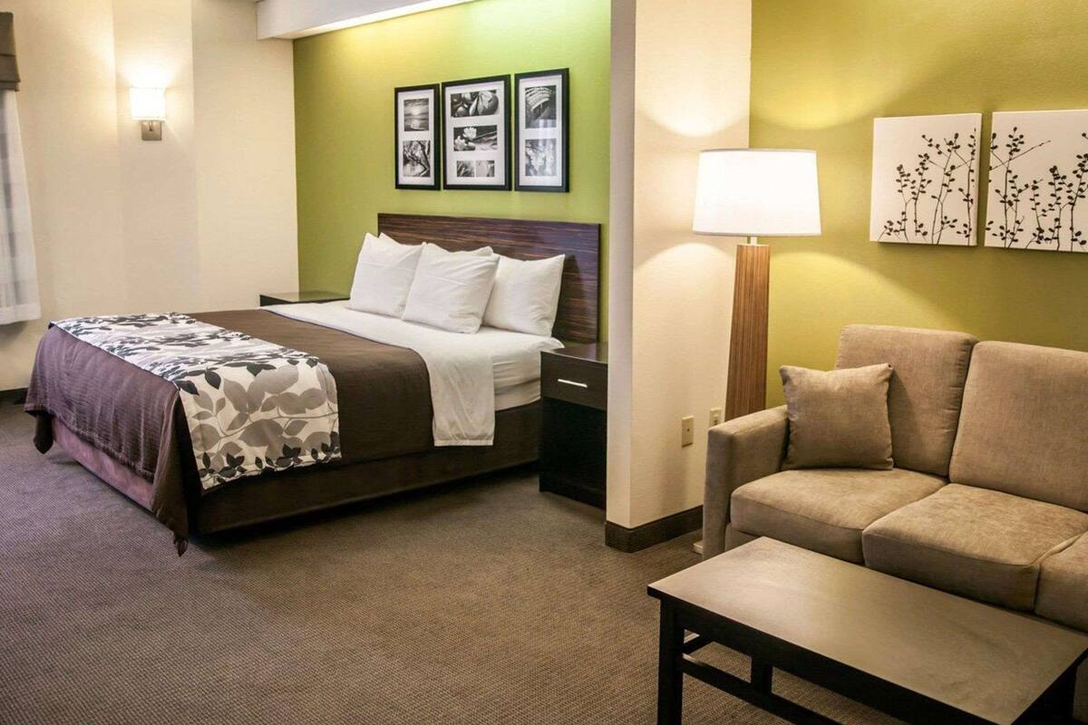 A hotel room with a bed, a sofa, a nightstand, a lamp, and wall art.