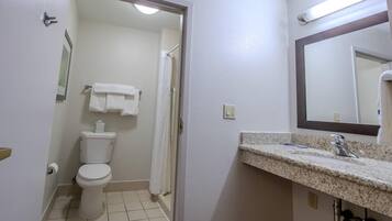 Un bagno con un WC, un lavandino, uno specchio e una tenda per la doccia.