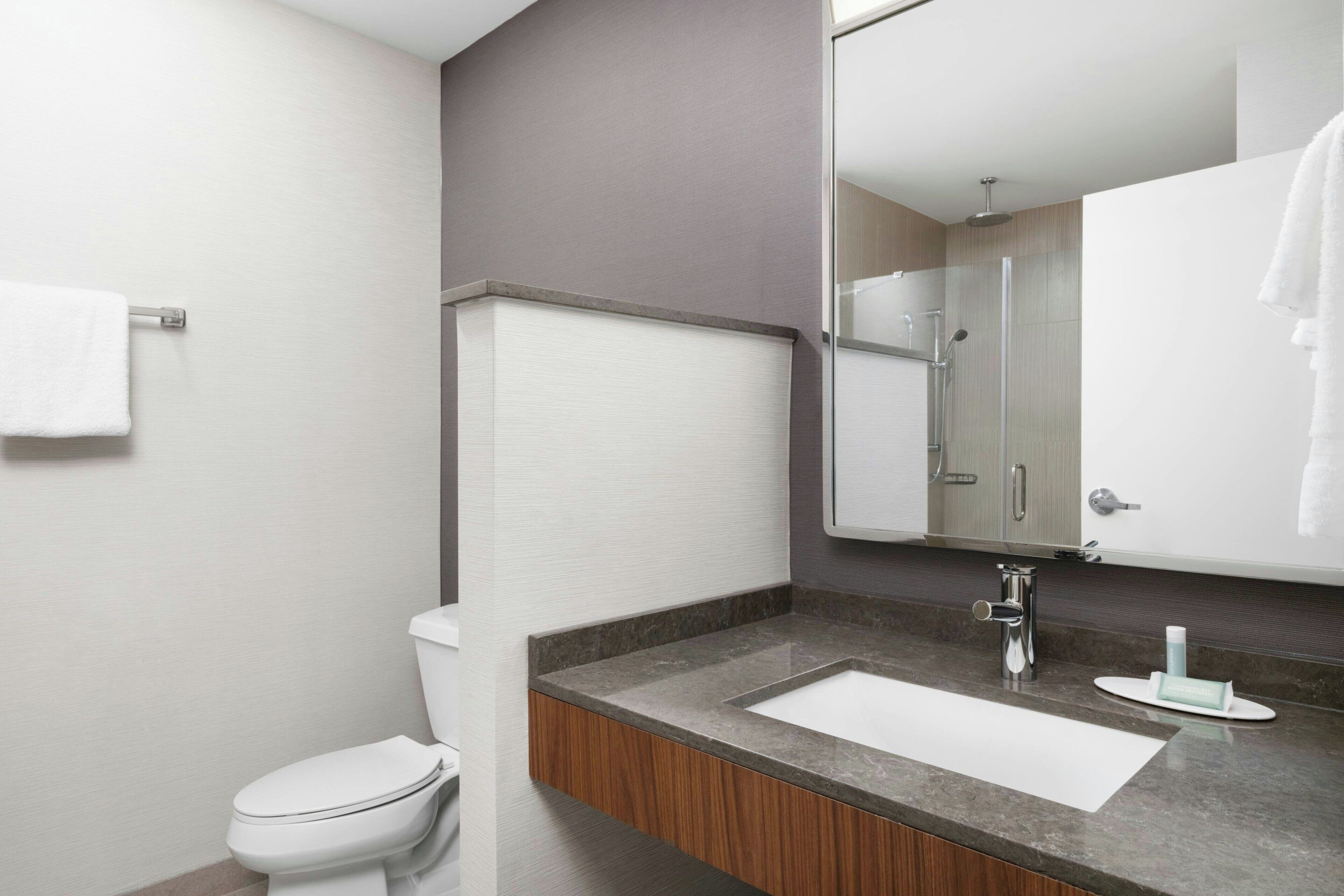 combined shower/bathtub, free toiletries, hair dryer, towels